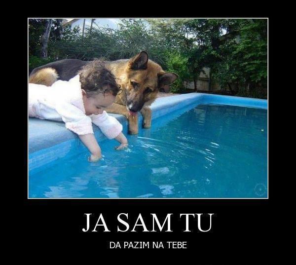 Tko odraste s ljubimcem nikad neće dići ruku na slabije