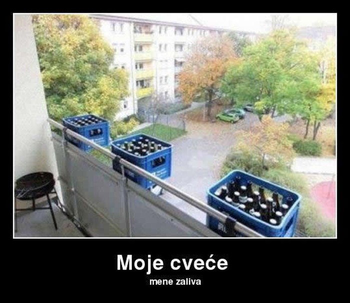 Cvijeće koje zalijeva tebe