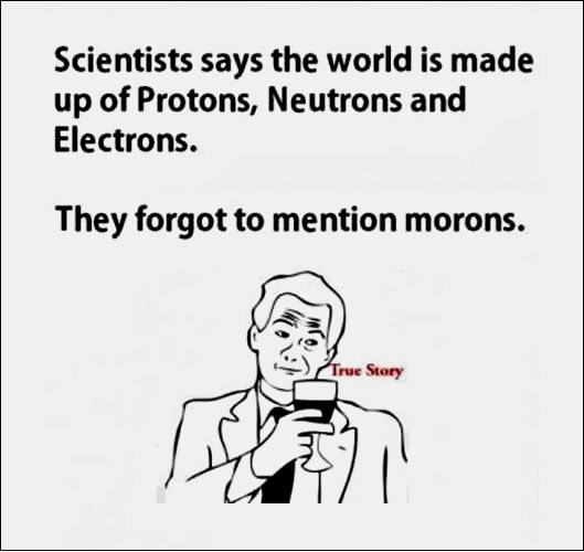 svijet je u najvećoj mjeri građen od morona