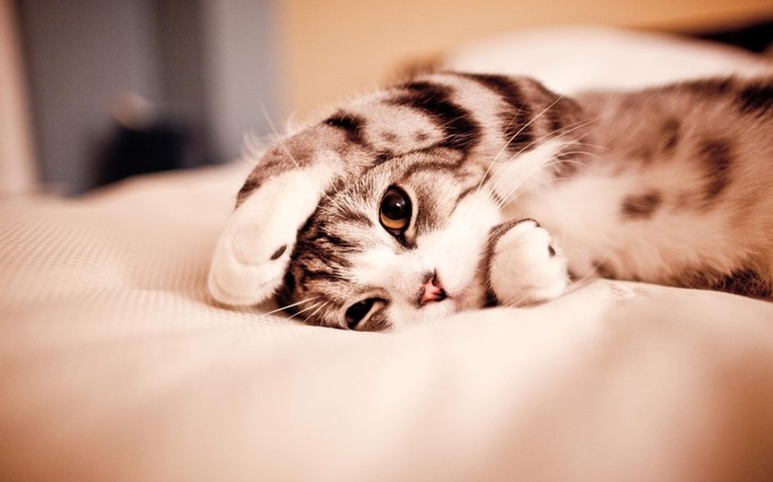 A joj nemoj sad, nisam se sredila!