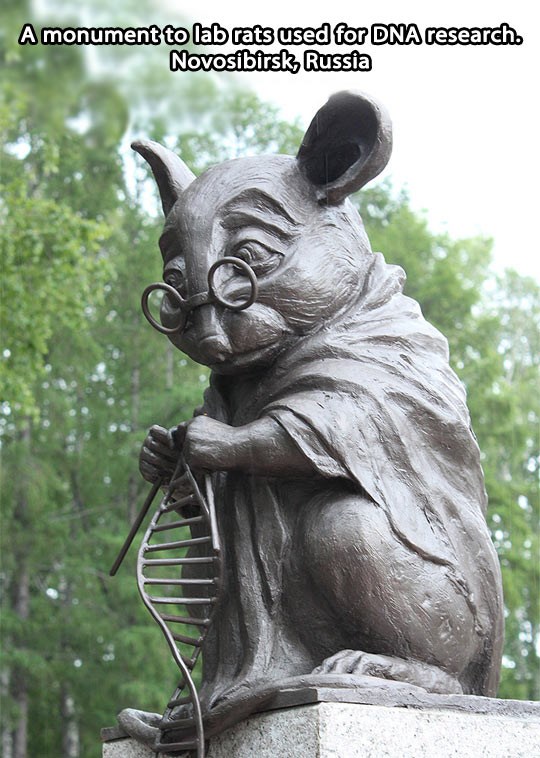 U Rusiji podigli spomenik štakorima korištenim u pokusima
