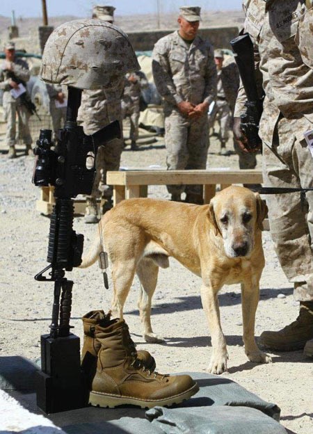 Kad izgubiš najboljeg prijatelja