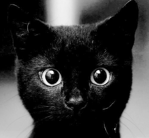 Zašto pljujete kad prođem ispred vas?:(