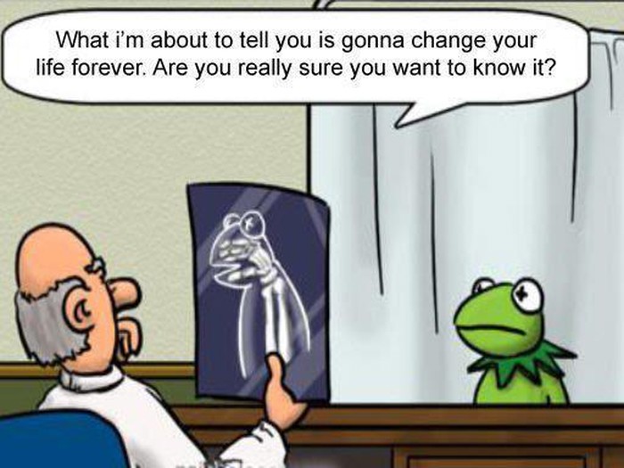 Kermit izgubio svoje unutrašnje "ja"