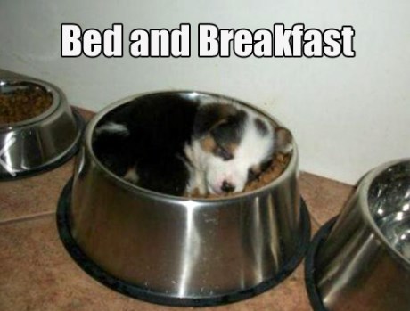 Da je u Kini, ovo bi bila druga priča