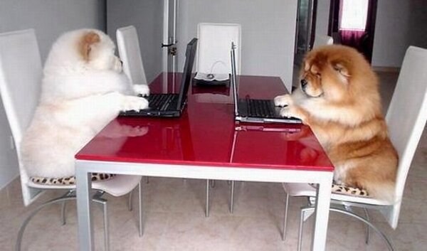 Gotfriede, faksirao si dopis? Jesam, Edmunde, ta bože!