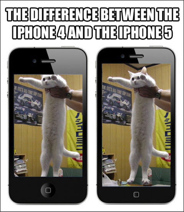 Novi iPhone - više mačaka