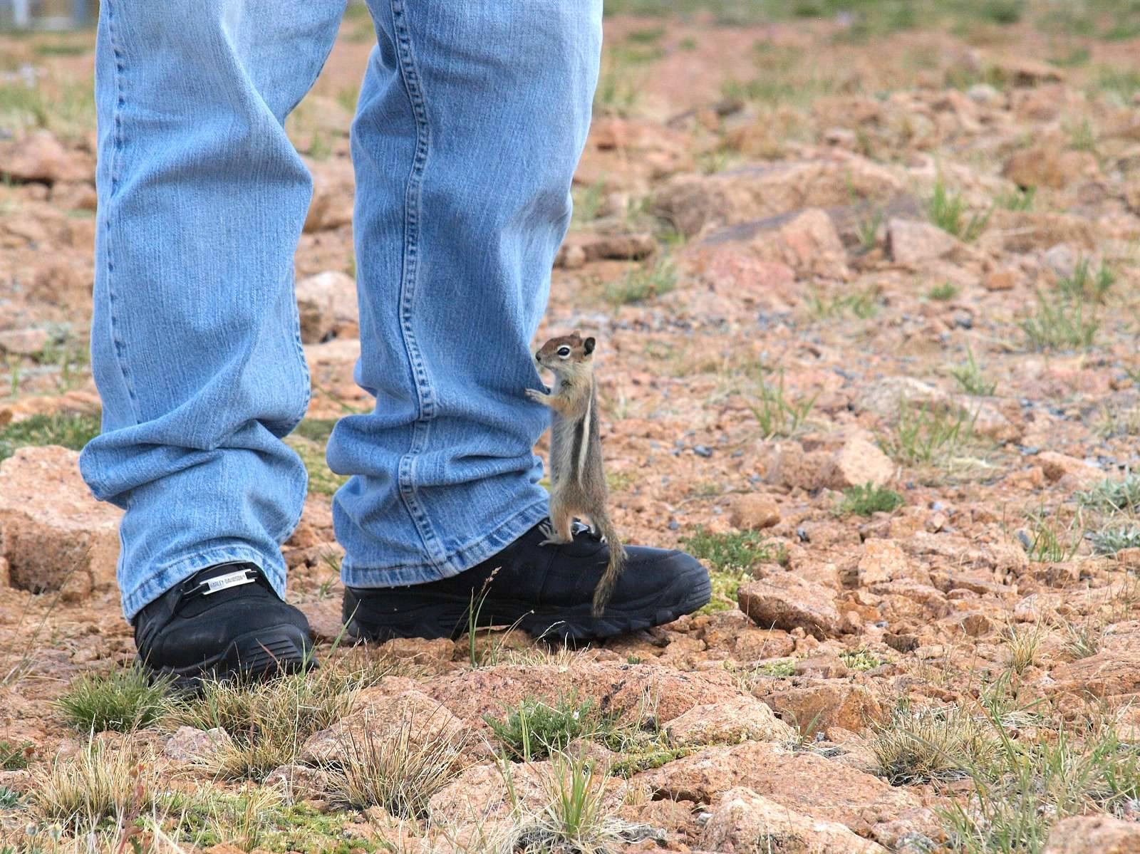 Ja ga držim, vi ga mlatite, brzo!