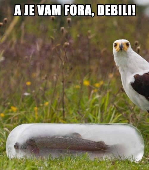 Naljutili ga podlom prevarom