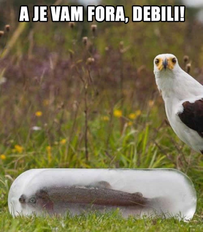 Naljutili ga podlom prevarom