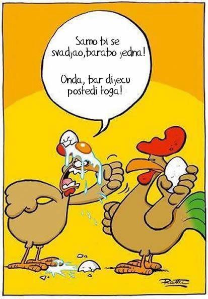 Pazi na jaja kad se svađaš s kokošima