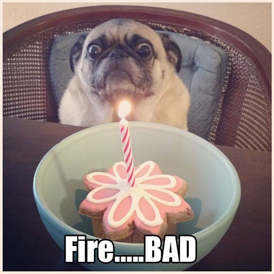 Vidiš mu po pogledu da se već jednom opeko