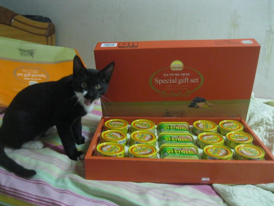 Maca se prenerazila kad je skužila da je to sve za nju