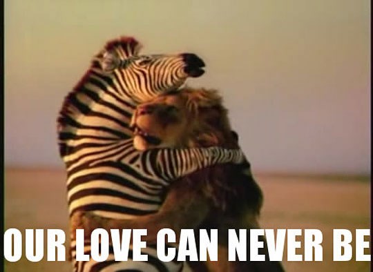 Naša ljubav je nemoguća, lav, iz različitih smo svjetova