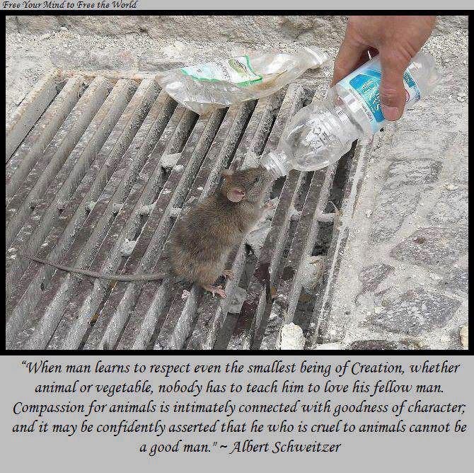 Tko ne voli životinje ne može biti dobar čovjek