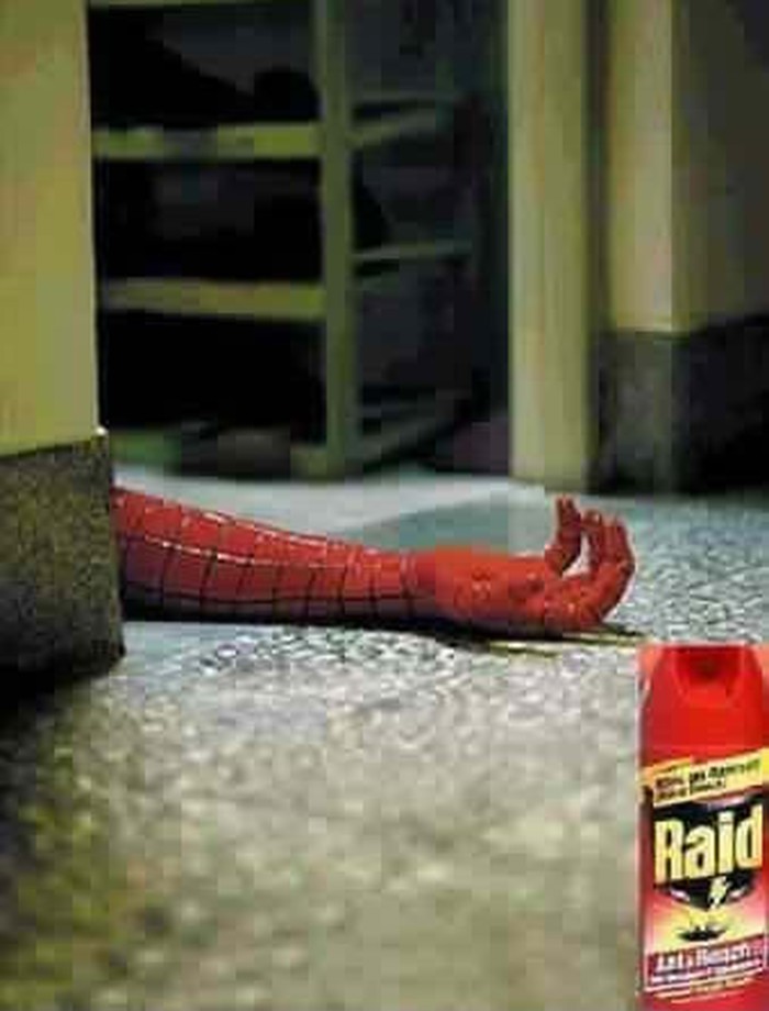 Raid 