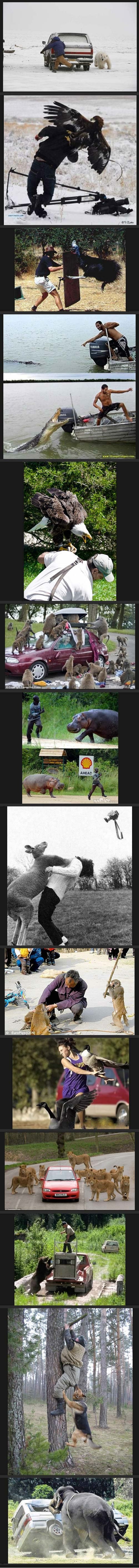 Odi malo van, izađi iz kuće - aha, vidi ovo sranje