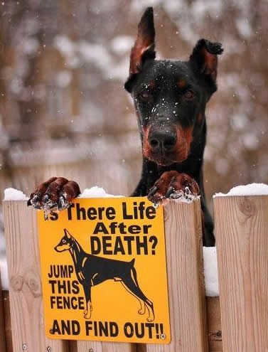 Ima li života poslije smrti?