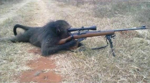 Majmuni s oružjem - ljudski rode, bliži ti se kraj