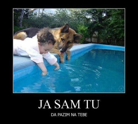 Držiš ga u zatočeništvu, a ipak te voli