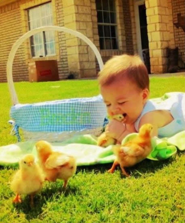 Patkica tak si slatka, bum te pojel, omnomnom!