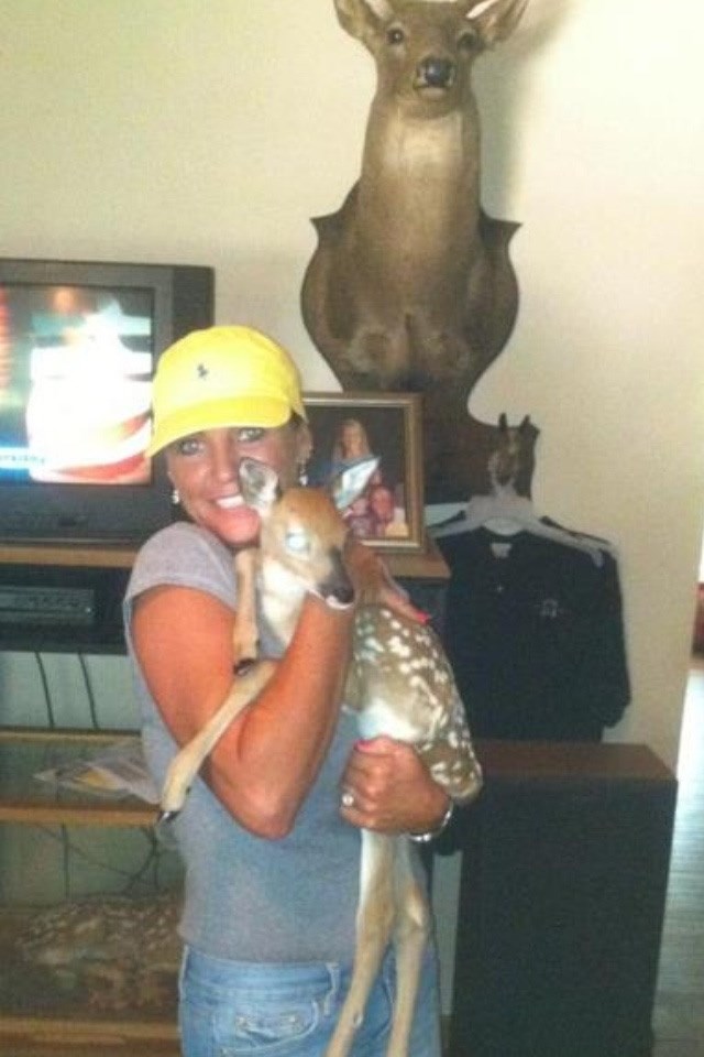 Bravo budalo, trljaju mu na nos!