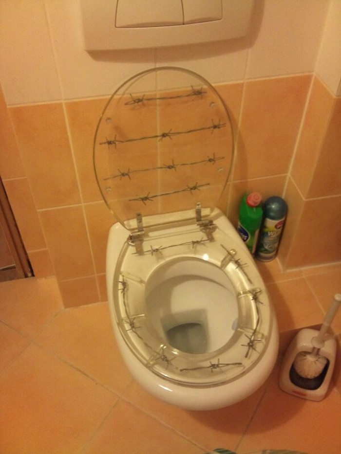 Presveti tron svakog muškarca - WC školjka