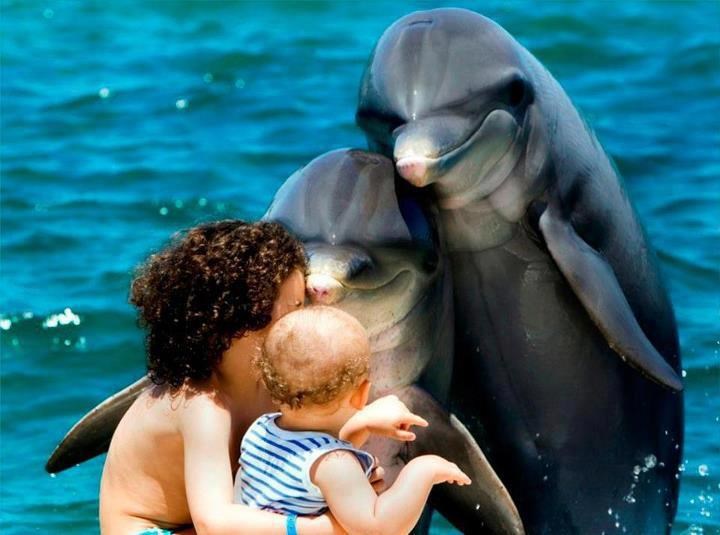 Gospon i gospođa Dupin upoznali bebu