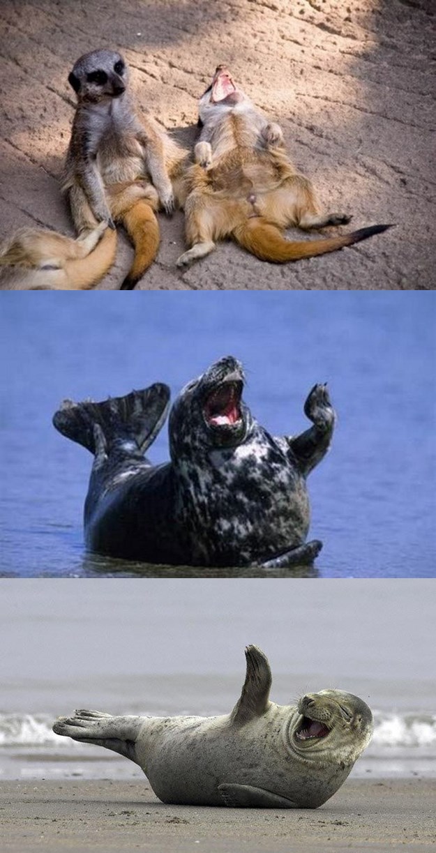 Zoran Milanović: "Crkvenjaci žive skromno"