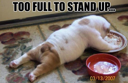 Kad se naždereš da jedva ležiš