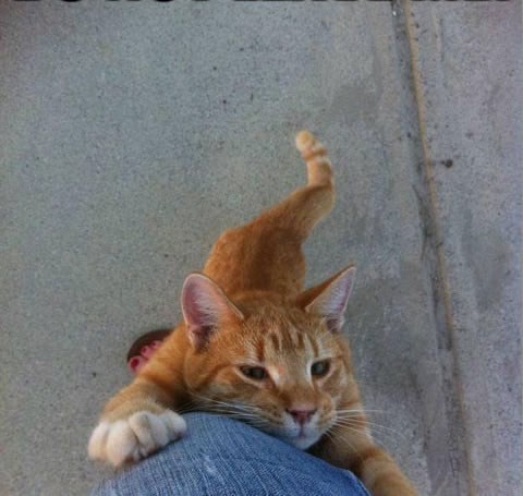 Ne ostavljaj me, promijenit ću se!