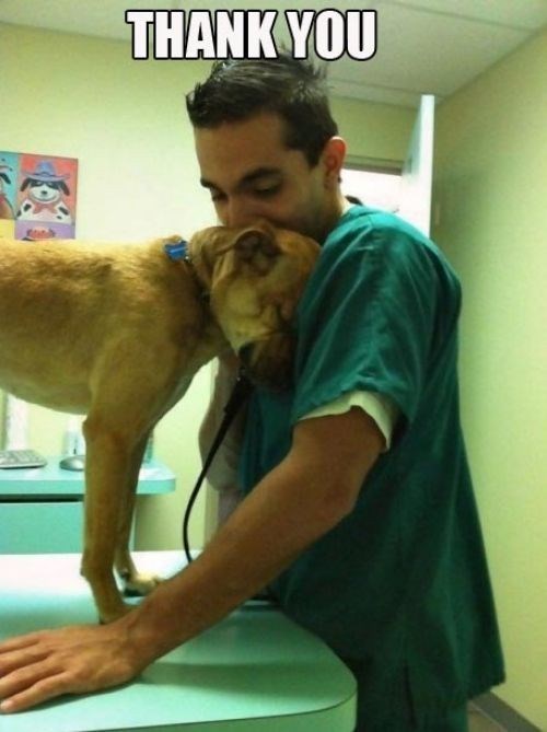 Nije teško reći "Hvala" kad ti spase život