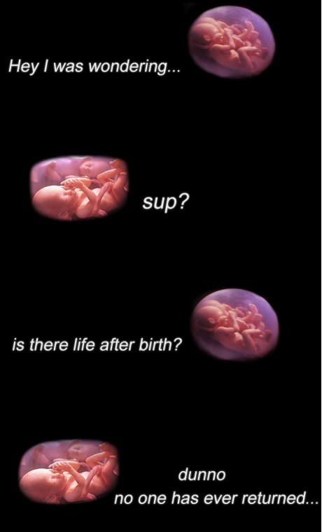 Ima li života nakon rođenje?