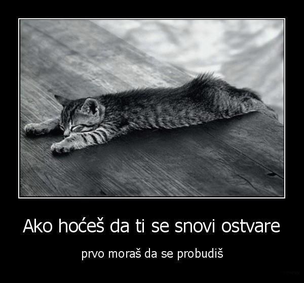 Mrdni lijeno dupe i zaradi sve za čime kukaš!