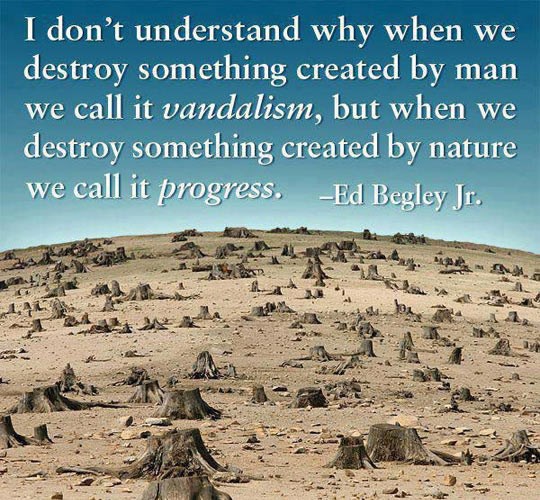 Kad pošaraš zid - vandalizam, kad uništiš planet - napredak