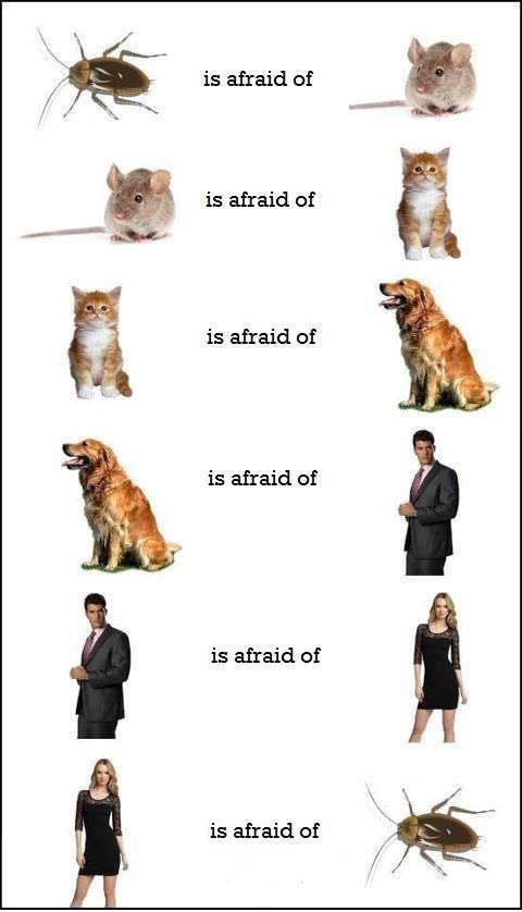 Jedina stvar koje se žena boji je...?