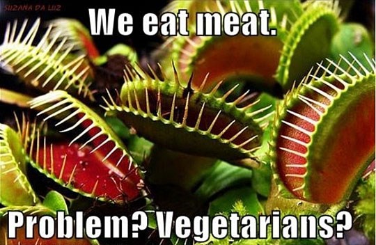 Vegići, čak vam i biljke jedu meso:D