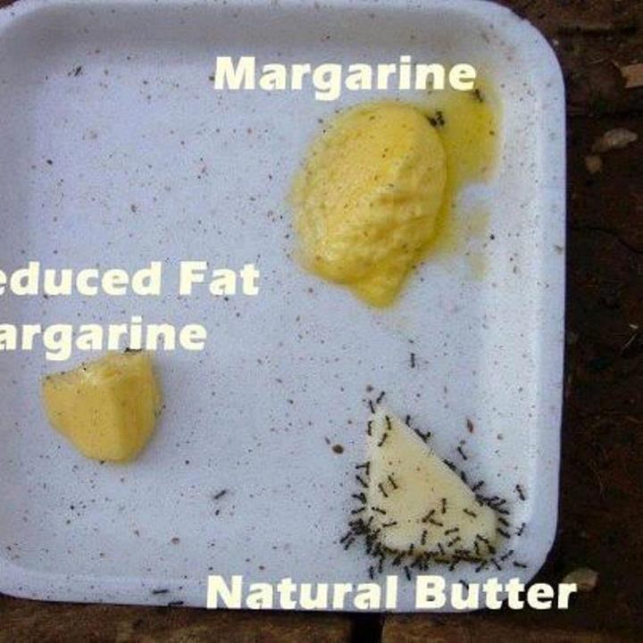 Toliko o kvaliteti današnje "obrađene" hrane