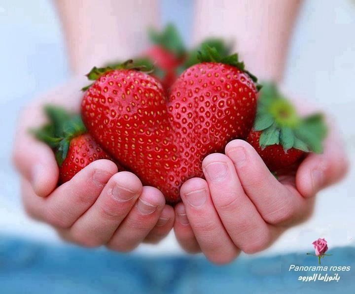 Nisu jagode uzalud dio svakog romantičnog ljubakanja