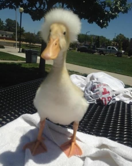 Afropatka večeras rastura po diskaču