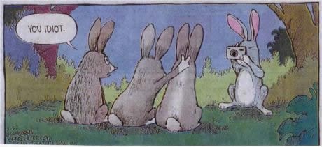 Napušeni zec zabrijao da je čovjek