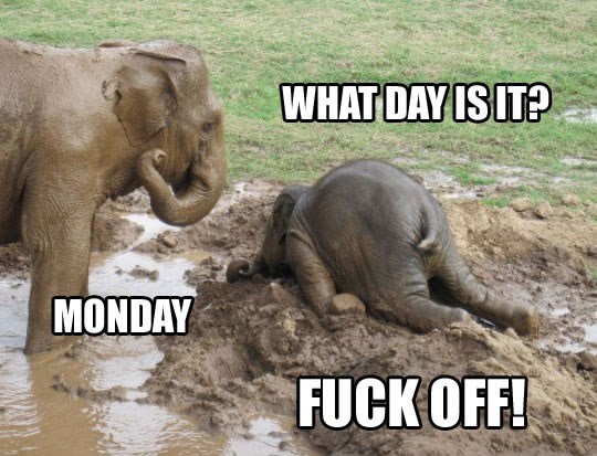 Ponedjeljak definitivno treba prebaciti bar na četvrtak