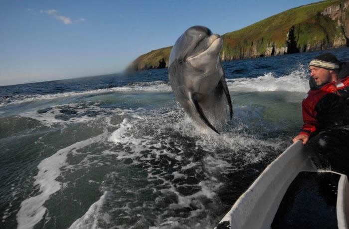 Oni bi se igrali, a mi ih trujemo i koljemo