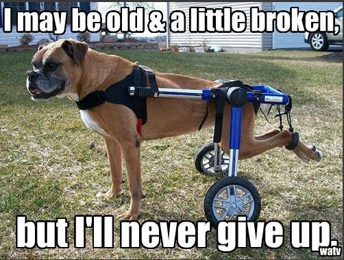 Kad je najgore, onda se baš zainati