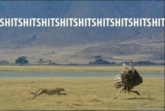 Afrička svakodnevica je sranje