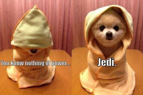 Tako sladak, a ultimativno zlo!