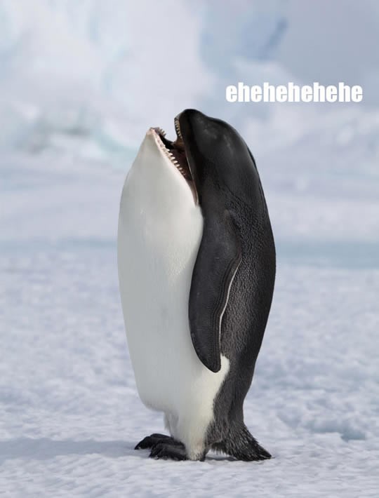 Znanstvenici su sad stvarno otišli predaleko!