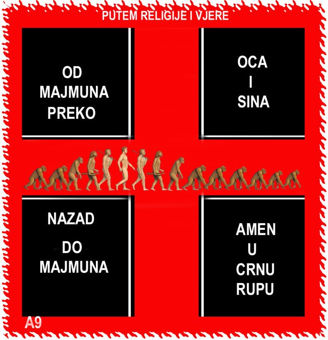 Od majmuna do majmuna