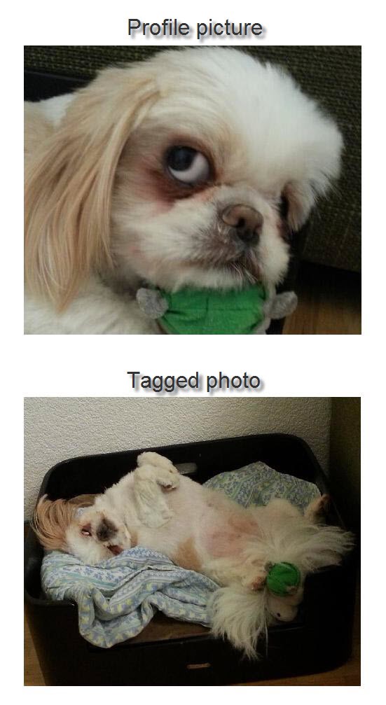 Profile picture vs Tagged photo
