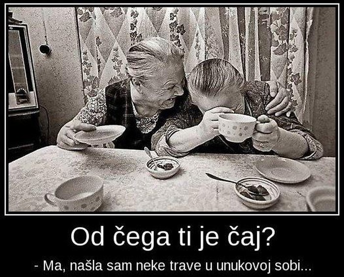 svašta100.jpg